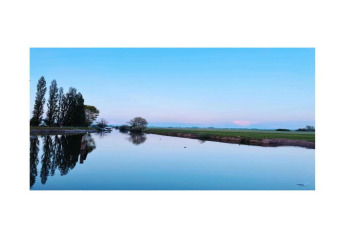 Smuk udsigt fra husbåden St Antoine i Belgien, med stille vand, grønne marker og høje træer ved solnedgang.