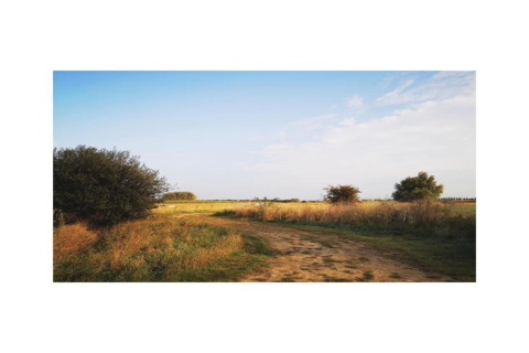 Ländliche Landschaft mit Feldweg bei Hausboot 'St Antoine' in Belgien, unter blauem Himmel und Wolken.