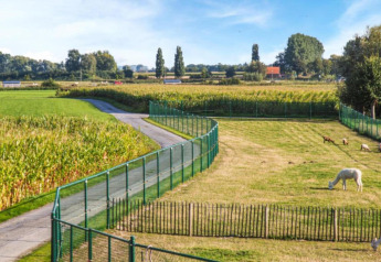 Udsigt fra husbåden 'St Antoine' i Belgien med grønne marker, indhegninger og græssende dyr.