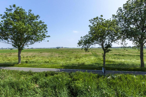 Blick auf grüne Felder und eine Straße mit Bäumen, aufgenommen vom Hausboot 'St Antoine' in Belgien.