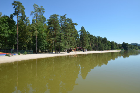 Spiaggia sabbiosa e lago al chalet Marcela in Repubblica Ceca, circondati da alberi verdi.