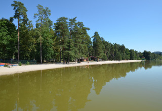 Spiaggia sabbiosa e lago al chalet Marcela in Repubblica Ceca, circondati da alberi verdi.