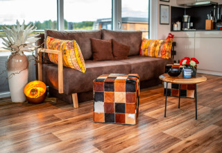 Stylish living area on Houseboat am Bärwalder See with brown sofa, colorful cushions, and wood accents.
