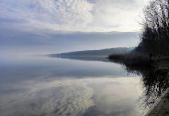 Calm waters and reflections by Houseboat am Gräbendorfer See, surrounded by peaceful lakeside trees.