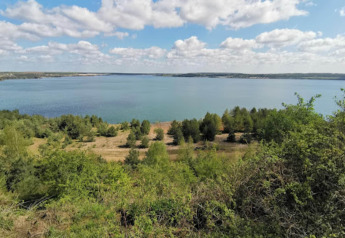 View from Houseboat am Gräbendorfer See showing a blue lake, greenery, and a sky filled with clouds.