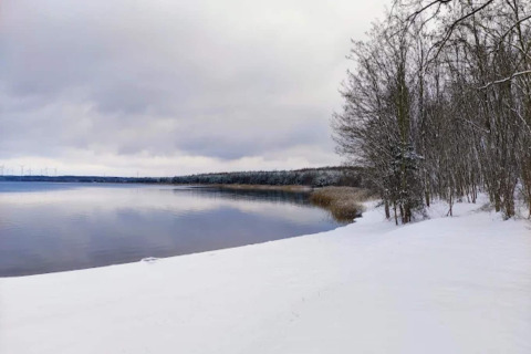Vista invernale dalla Houseboat am Gräbendorfer See in Germania, riva innevata e alberi accanto al lago.