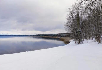 Vue hivernale depuis la Houseboat am Gräbendorfer See en Allemagne, rivage enneigé et arbres au bord du lac.