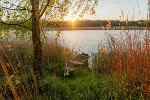 Sunset over the lake with reeds, green trees, and a boat by Houseboat in Zehdenick, Germany.