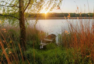 Tramonto sul lago con canne, alberi verdi e una barca vicino a Houseboat a Zehdenick, Germania.