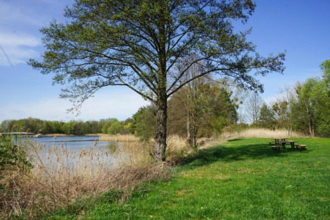 Lakeside scenery with trees, green grass, and picnic tables near Houseboat in Zehdenick, Germany.