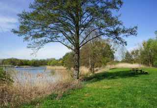 Lakeside scenery with trees, green grass, and picnic tables near Houseboat in Zehdenick, Germany.