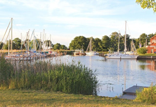 Photo of a peaceful marina with houseboats, sailboats and lush greenery, sunlight reflecting on water.