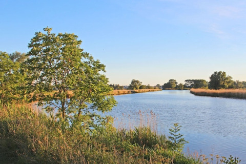 View from a houseboat overlooking a tranquil river, green trees, and reeds under a clear blue sky.