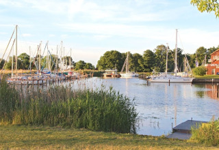 Havn ved husbåd 'Floating 44 Undine' i Tyskland, omgivet af grønne træer og sejlskibe i roligt vand.