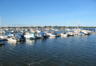 Boten en woonboten liggen in een haven op een zonnige dag met blauwe lucht en rustig water.