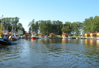 Afbeelding van een serene haven met huisboten en vissersboten, geflankeerd door bomen en blauwe lucht.