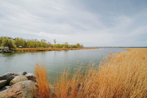 Uitzicht vanaf woonboot «475077» in Duitsland op een rustige rivier met riet en groene bomen.