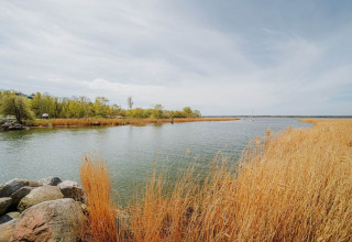Uitzicht vanaf woonboot «475077» in Duitsland op een rustige rivier met riet en groene bomen.
