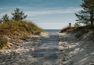 Zandpad tussen duinen en bomen, richting zee vanaf een woonboot aan het strand in Duitsland.