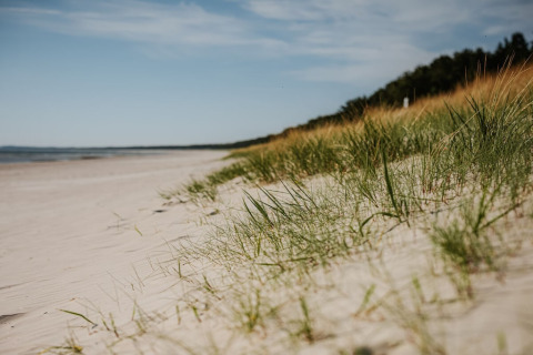Zandstrand met gras nabij woonboot 475077 in Duitsland, rustige zomerlandschap aan de kust.