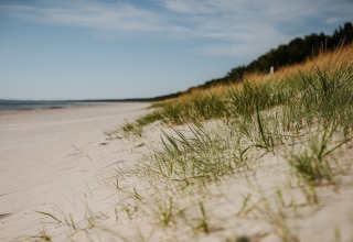 Zandstrand met gras nabij woonboot 475077 in Duitsland, rustige zomerlandschap aan de kust.