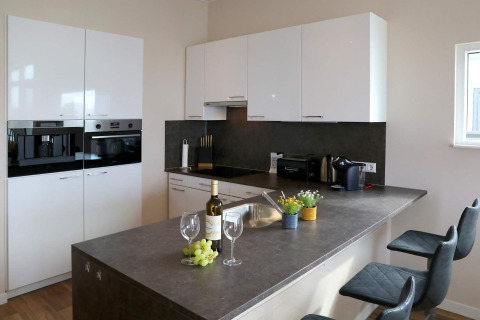 Modern kitchen with white cabinets, gray countertops, wine, and plants on a houseboat in Ribnitz-Damgarten.