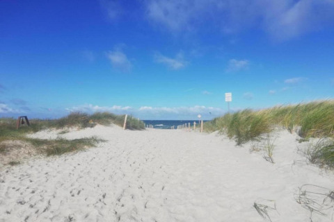 Sandy path through grassy dunes leading to the sea, blue sky above, seen from Houseboat in Ribnitz-Damgarten.