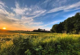 Sunset over a lush field of wild grass and trees with a blue sky at Houseboat in Ribnitz-Damgarten.