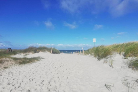 Sandy pathway leads to the beach and sea, with grassy dunes and a bright blue sky above.