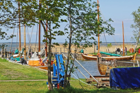 Hausboote und Segelboote liegen an einem grünen Ufer mit Bäumen und ruhigem Wasser im Hafen.