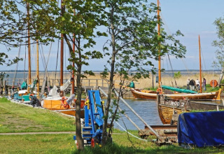 Både og husbåde ligger fortøjet ved en stille havn omgivet af grønne træer og klart vand.