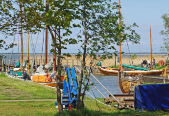 Woonboten en zeilboten liggen afgemeerd aan een rustige haven met bomen en groene grasvelden.
