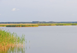 Udsigt fra en husbåd over et roligt vand med siv og grønne bredder under en lys himmel.