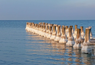Holzpfähle im Wasser mit Eisbedeckung im Winter, Möwen sitzen darauf, ruhiges Meer im Hintergrund.