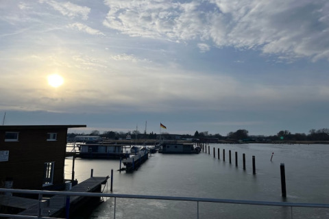 Solopgang over husbåde ved en stille havn med træpæle og bløde skyer på en fredelig morgen.
