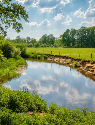 Un tranquillo paesaggio fluviale vicino a Denekamp, Overijssel, Paesi Bassi, con verde lussureggiante.