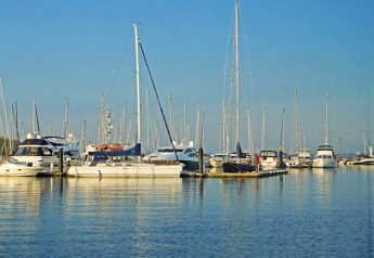 Meerdere boten en jachten liggen aangemeerd in een rustige jachthaven onder een blauwe lucht.