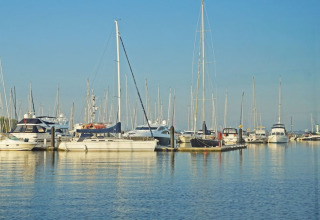 Plusieurs bateaux et yachts amarrés dans une marina paisible sous un ciel bleu clair et ensoleillé.