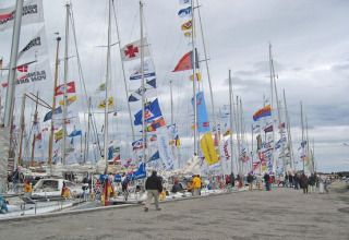 Salon nautique avec de nombreux voiliers et drapeaux colorés au port, des gens marchent sur le quai.