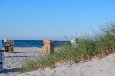Scène de plage avec des dunes, de l’herbe haute et des chaises de plage face à la mer calme et bleue.
