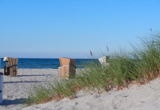 Scène de plage avec des dunes, de l’herbe haute et des chaises de plage face à la mer calme et bleue.
