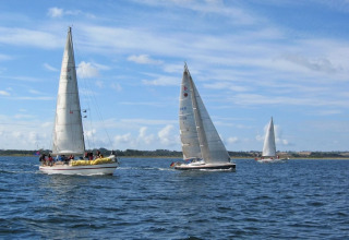 Plusieurs voiliers avec équipage naviguent lors d'une course sous un ciel bleu légèrement nuageux.