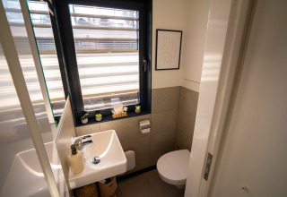 Moderne badkamer op een woonboot in Höxter met raam, kleine wastafel, wc en sierplanten.