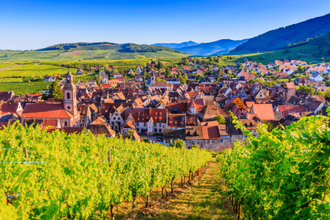 Blick auf die Vogesen, Frankreich
