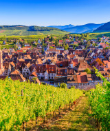 Vista de los Vosgos, Francia