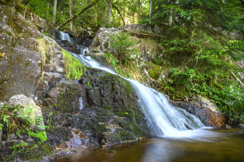 Waterfall of The Tendon, Vosges Mountains, France.