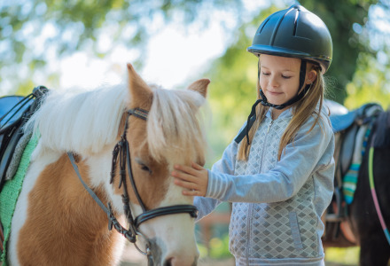 Pony riding - Vodatent - Camping Emmen - Schoonebeek - Drenthe - Netherlands