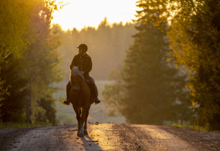Reiten - Vodatent - Campingpark de Vuurkuil - Hulshorst - Gelderland - Niederlande
