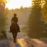 Reiten - Vodatent - Campingpark de Vuurkuil - Hulshorst - Gelderland - Niederlande