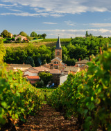 Saint Julien, Region Beaujolais, Burgund, Frankreich